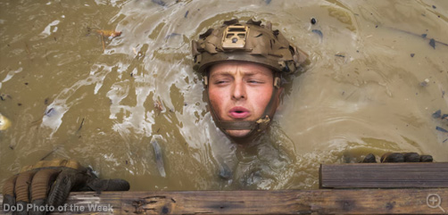 Marine Corps Sgt. Gavin Bart completes an obstacle as part of the Basic Jungle Skills Course at the Jungle Warfare Training Center in Okinawa, Japan, Sept. 24, 2025. During the week-long course, Marines learned basic jungle survival skills, tactical rope suspension techniques and jungle warfare tactics.  Image: DoD