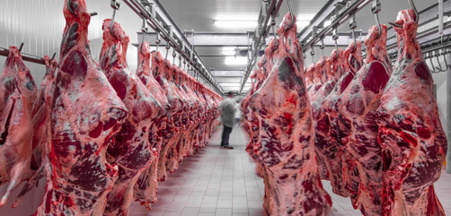 Cyber-Attack Hits World's Largest Meat Supplier - ALLOW IMAGES