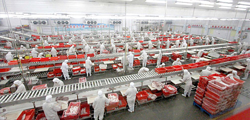 The Chinese consume half of the world's pork production.  Pork supply is so important to them that, just as the U.S. government maintains a strategic oil reserve, China stashes away vast amounts of frozen pork in case of shortages, outbreaks of swine disease, or war. - ALLOW IMAGES